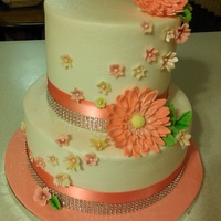 Cake Decorator danie71