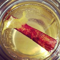 Cake Decorator imanah