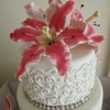 Bopple Princess Cake Central Cake Decorator Profile