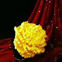 Cake Decorator bookbrat