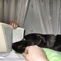 Cake Decorator saetta