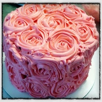 Cake Decorator HM1012