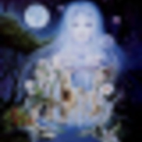 Cake Decorator cakewiz