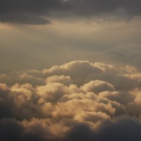 Cake Decorator Bridgett5