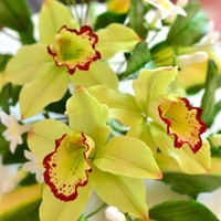 Cake Decorator Hilaryrose