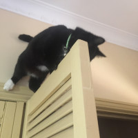 Natty_Clarke Cake Central Cake Decorator Profile