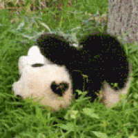 AJayZa Cake Central Cake Decorator Profile