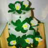 UrsBucher  Cake Central Cake Decorator Profile