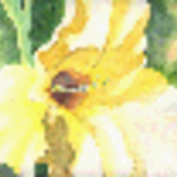 galaglow Cake Central Cake Decorator Profile