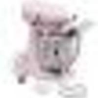 Cake Decorator SweetTreatsbyCarol