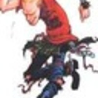 Cake Decorator KarmaStew