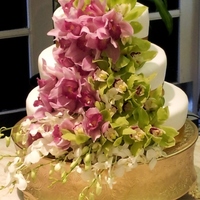 Cake Decorator Yolys cakes