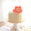 EndlessSummer Cake Central Cake Decorator Profile