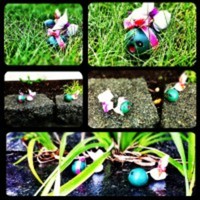 Puppylove Cake Central Cake Decorator Profile