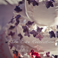 serenaf Cake Central Cake Decorator Profile