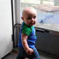 pejmo3 Cake Central Cake Decorator Profile