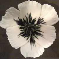 Cake Decorator jkmeow4