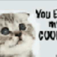 Cake Decorator lifonahil