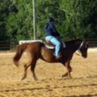 Cake Decorator au_decorator_76