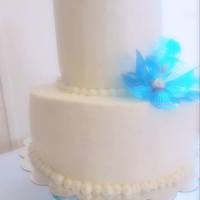 SSJen Cake Central Cake Decorator Profile