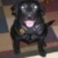 chenson4 Cake Central Cake Decorator Profile