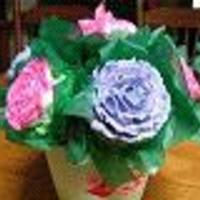 Eileenscakes Cake Central Cake Decorator Profile