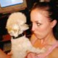 Cake Decorator ashk36