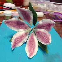 Cake Decorator danyag