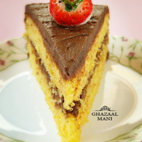 ghazal86 Cake Central Cake Decorator Profile