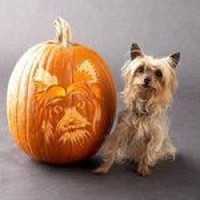 Cake Decorator MMF6819