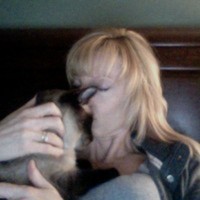 NekosDemon Cake Central Cake Decorator Profile