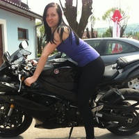 Cake Decorator master001