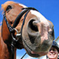 Cake Decorator FEIwannabe