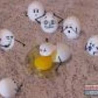 Cake Decorator Eggshells