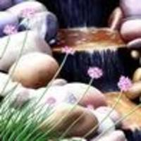 cleeg1 Cake Central Cake Decorator Profile