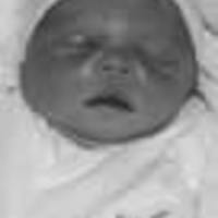 Cake Decorator twooten173