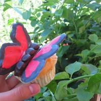 varvanie Cake Central Cake Decorator Profile