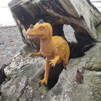 Cake Decorator EdenValley