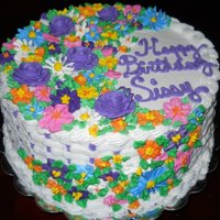 Cake Decorator kirasmom