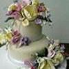 princesscris  Cake Central Cake Decorator Profile