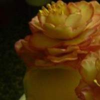 flourxxchildxx Cake Central Cake Decorator Profile