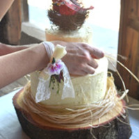 Mrs glowworm Cake Central Cake Decorator Profile