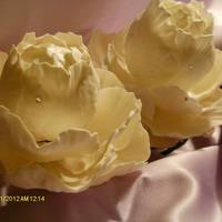 Cake Decorator baileybird