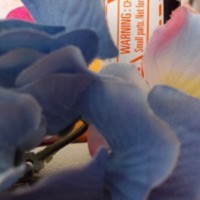 Cake Decorator farah6