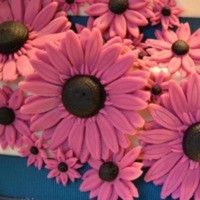 Cake Decorator yumyum1