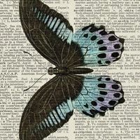 Yary3481 Cake Central Cake Decorator Profile