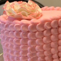 jendardis Cake Central Cake Decorator Profile