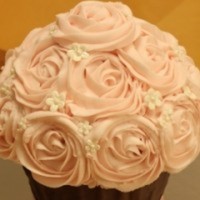 Cake Decorator LadybugLady13