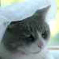 crazycaker Cake Central Cake Decorator Profile