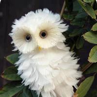 Cake Decorator prec929